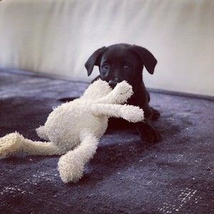 Meet your Posher, Eyde